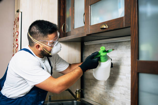 Best Best Pest Control Near Me  in Vassar, MI
