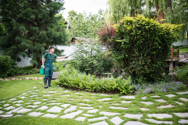 Best Residential Pest Control  in Vassar, MI