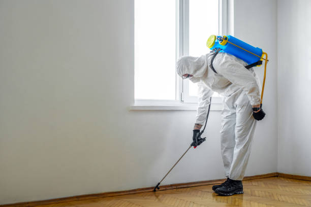 Best Pest Control Near Me in Vassar, MI