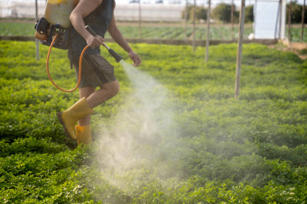 Pest Control for Restaurants in Vassar, MI