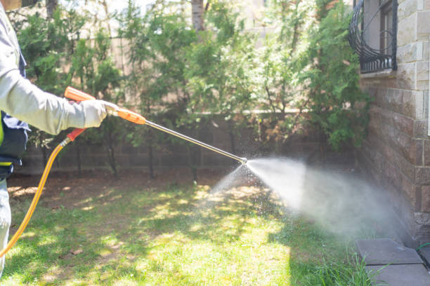 Best Residential Pest Control  in Vassar, MI