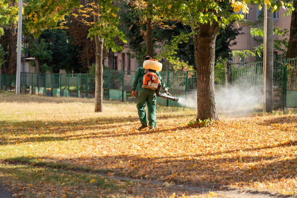 Best Pest Control for Restaurants  in Vassar, MI