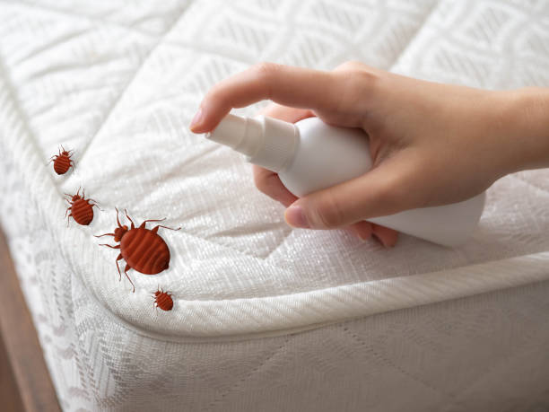 Best Commercial Pest Control Services  in Vassar, MI