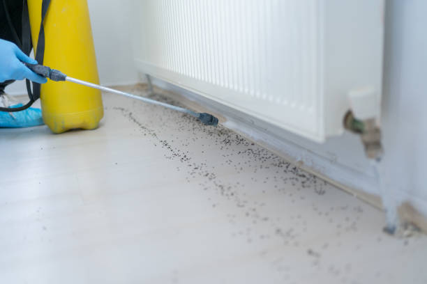 Best Best Pest Control Companies  in Vassar, MI