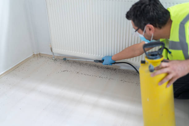 Best Cockroach Control Services  in Vassar, MI